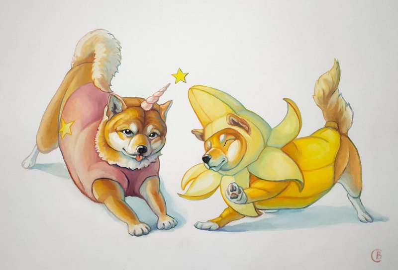 Анатомия сиба ину