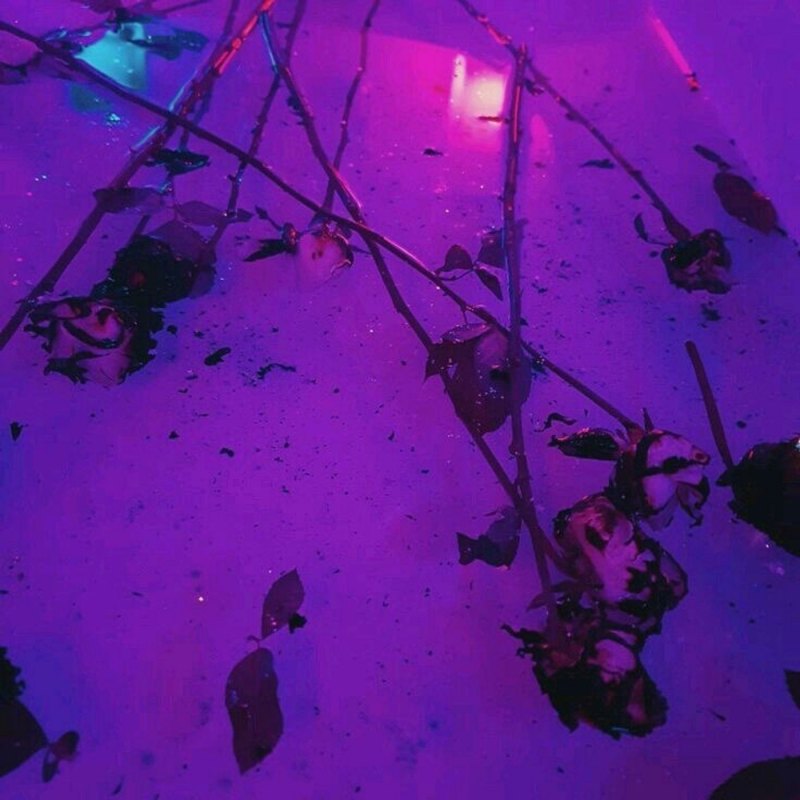 Эстетика пурпурного