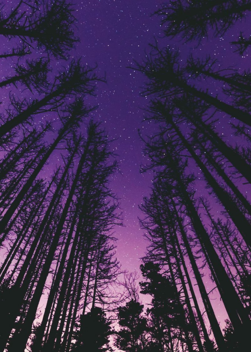 Эстетика фиолетового