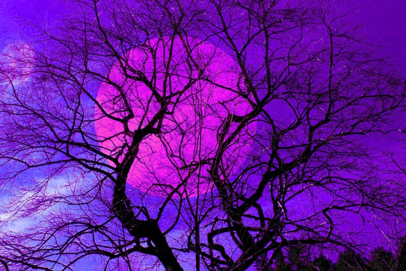 Фиолетовый неон