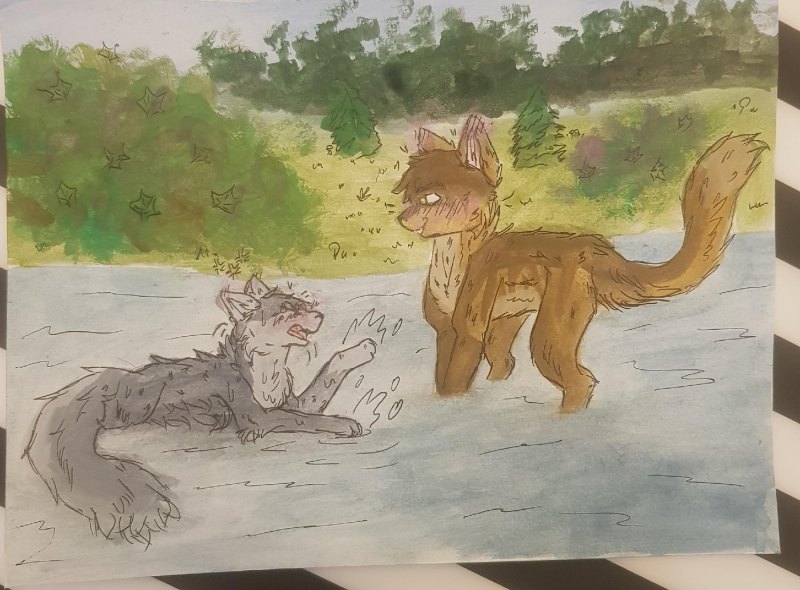 Коты Воители смерть синей звезды