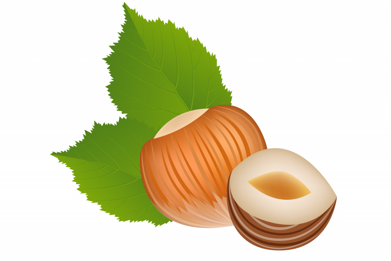 Орешки для детей