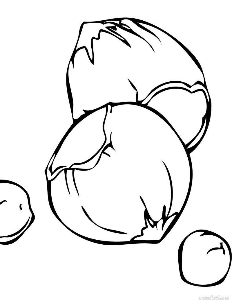 Орешки раскраска для детей
