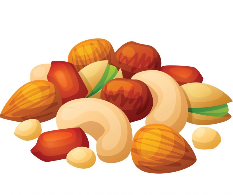 Орехи иллюстрация