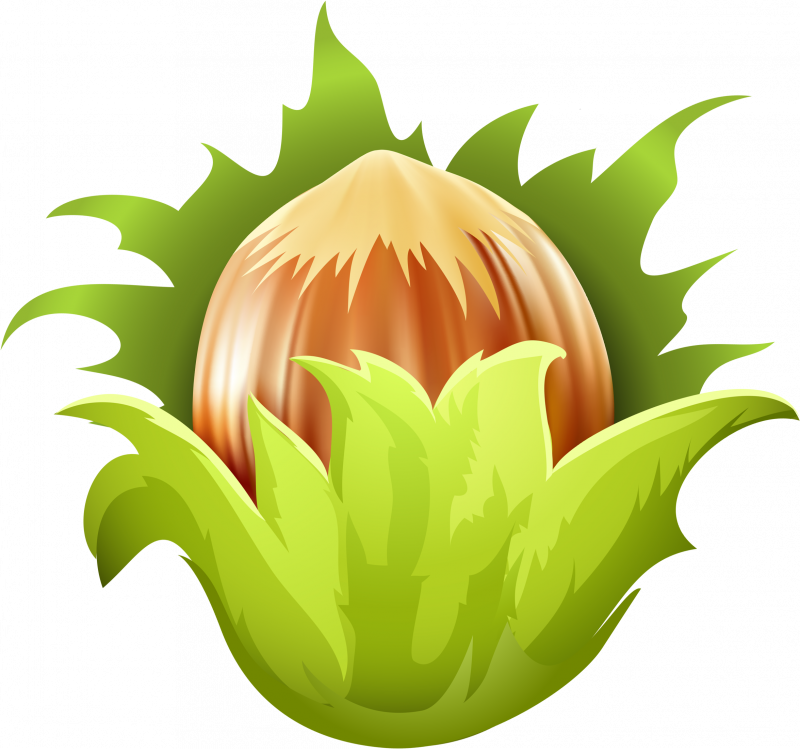 Орешки для детей