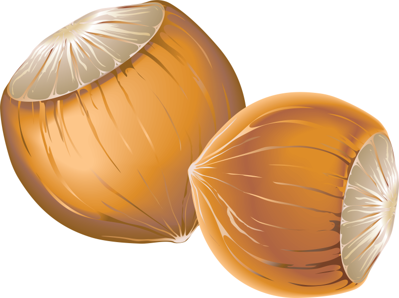 Орех мультяшный