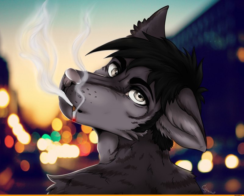 Вольф фурри