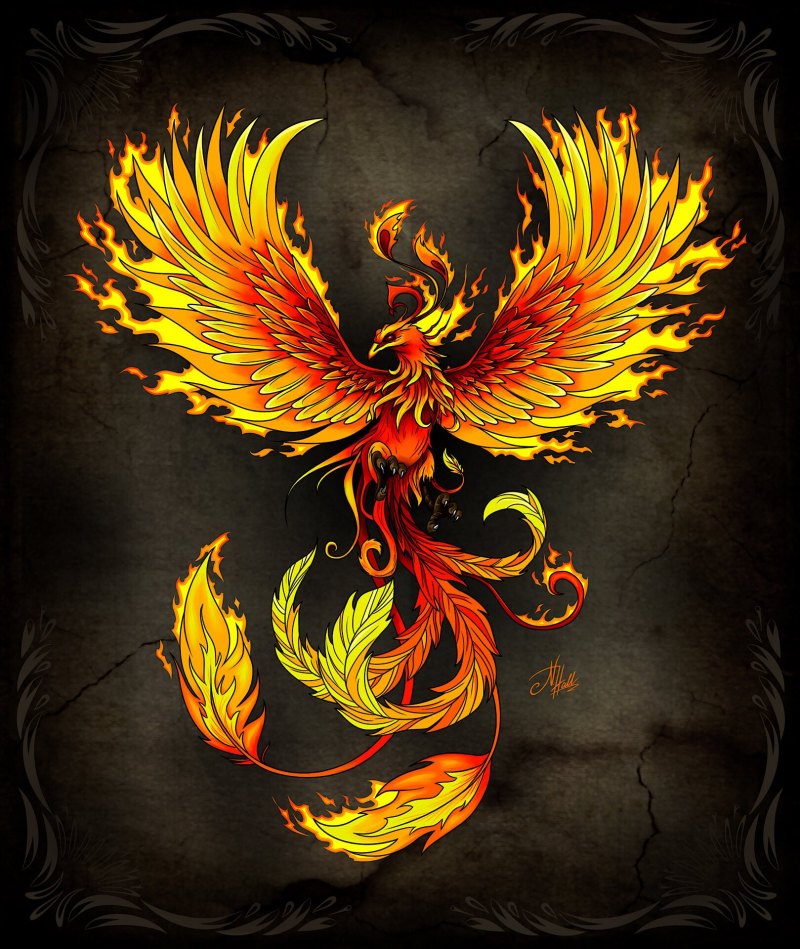Файербирд / Firebird (Жар птица) роза