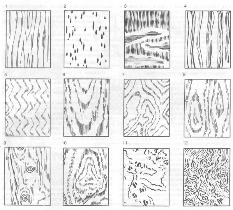 Рисунок образованный годичными кольцами называется а эскиз б текстура в пиломатериал