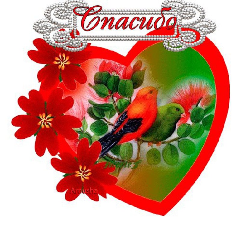 Сердечное вам спасибо и цветы