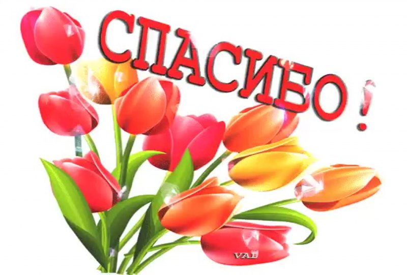 Пушистые открытки Льва Бартенева