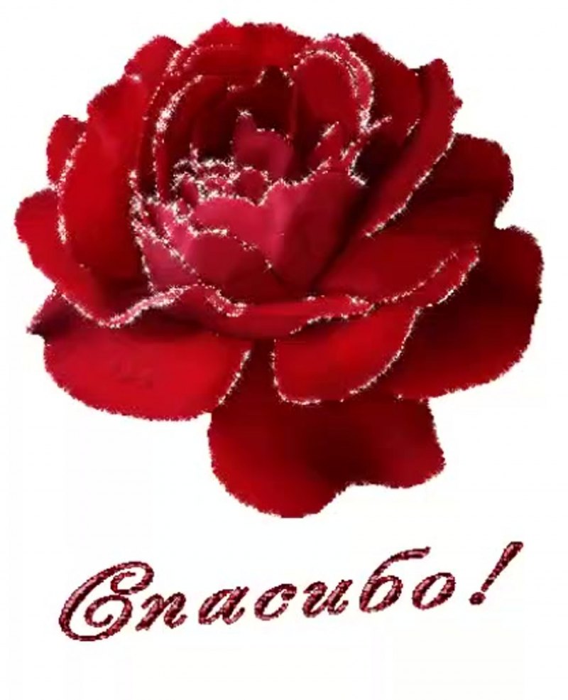 Открытка спасибо взаимно