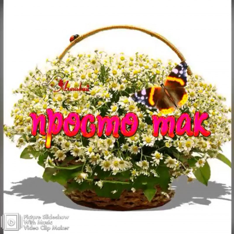 Розы в подарок