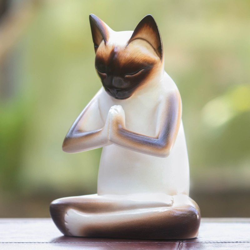 Кот познает
