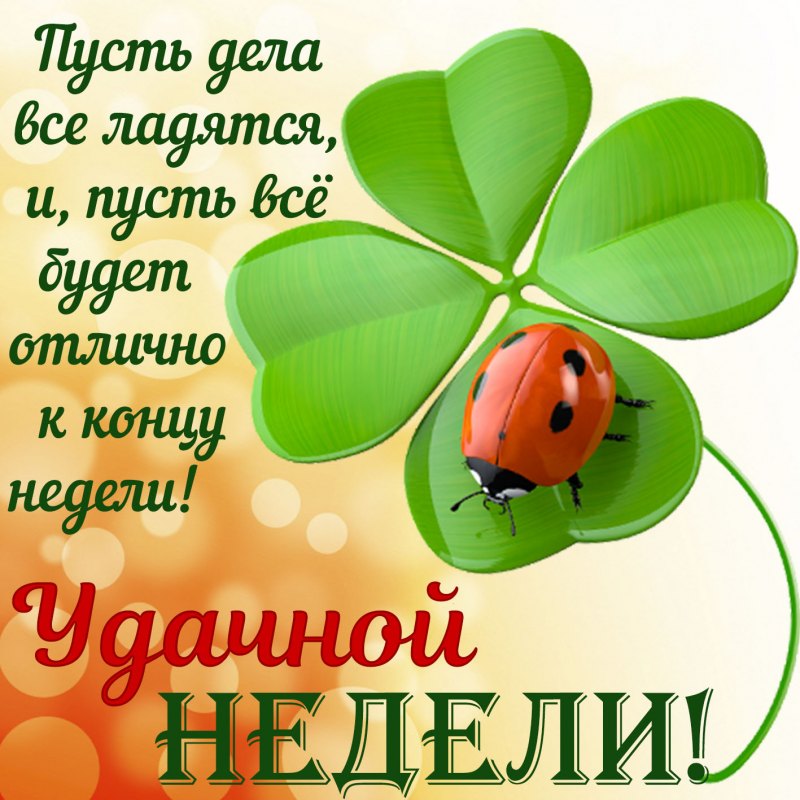 С началом рабочей недели