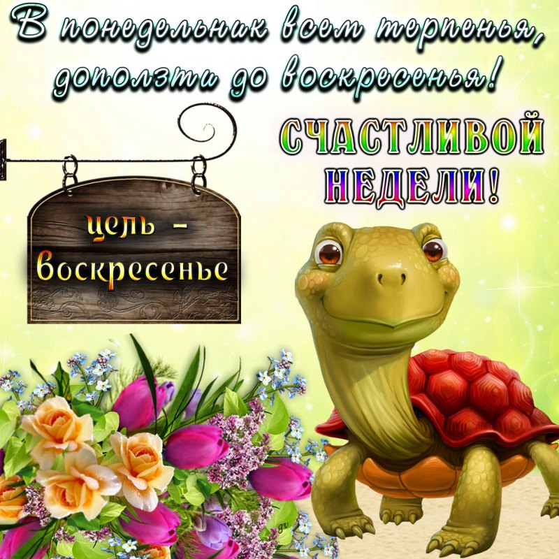 Открытки с добрым понедельником
