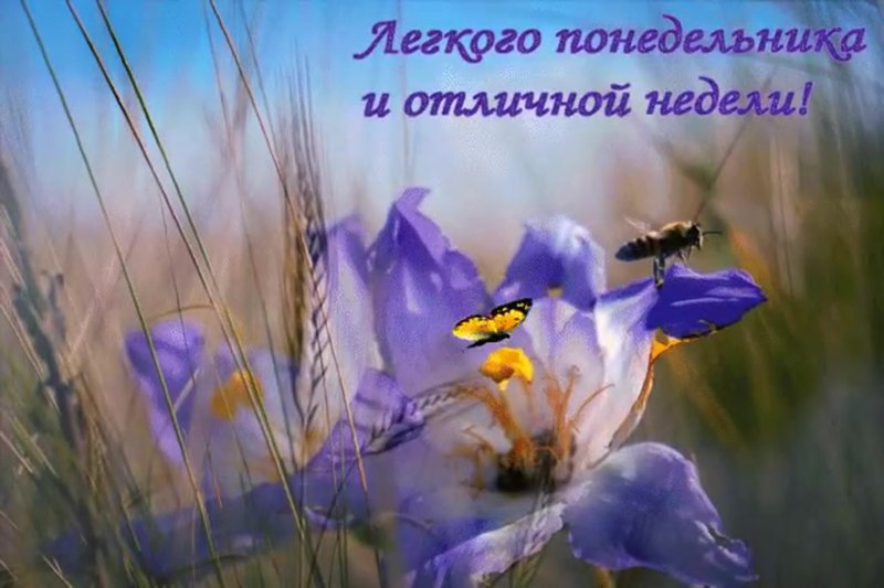 Поздравление с понедельником
