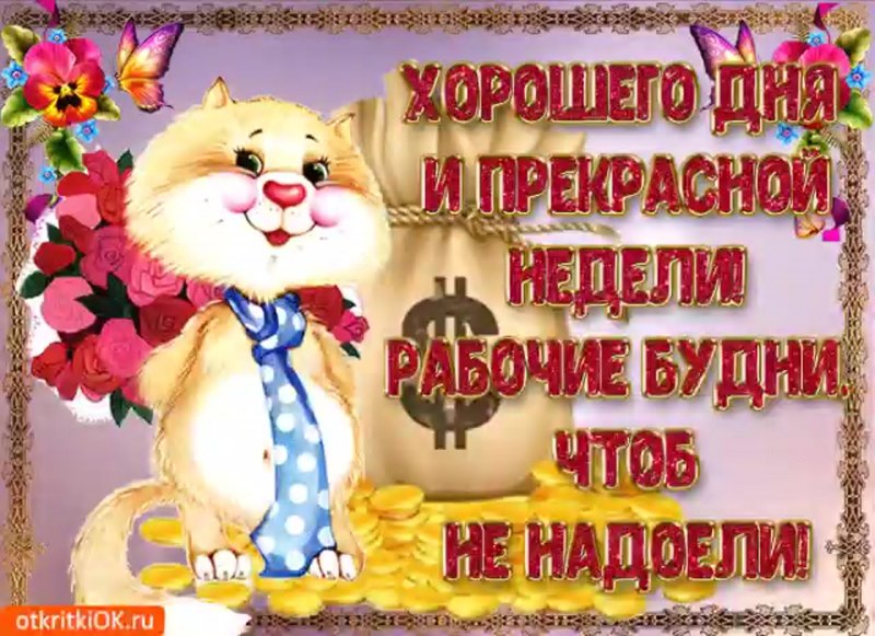 Удачной недели и хорошего настроения пожелания