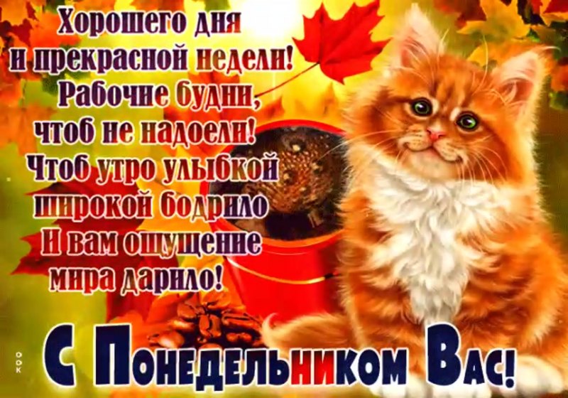 Открытки с понедельником