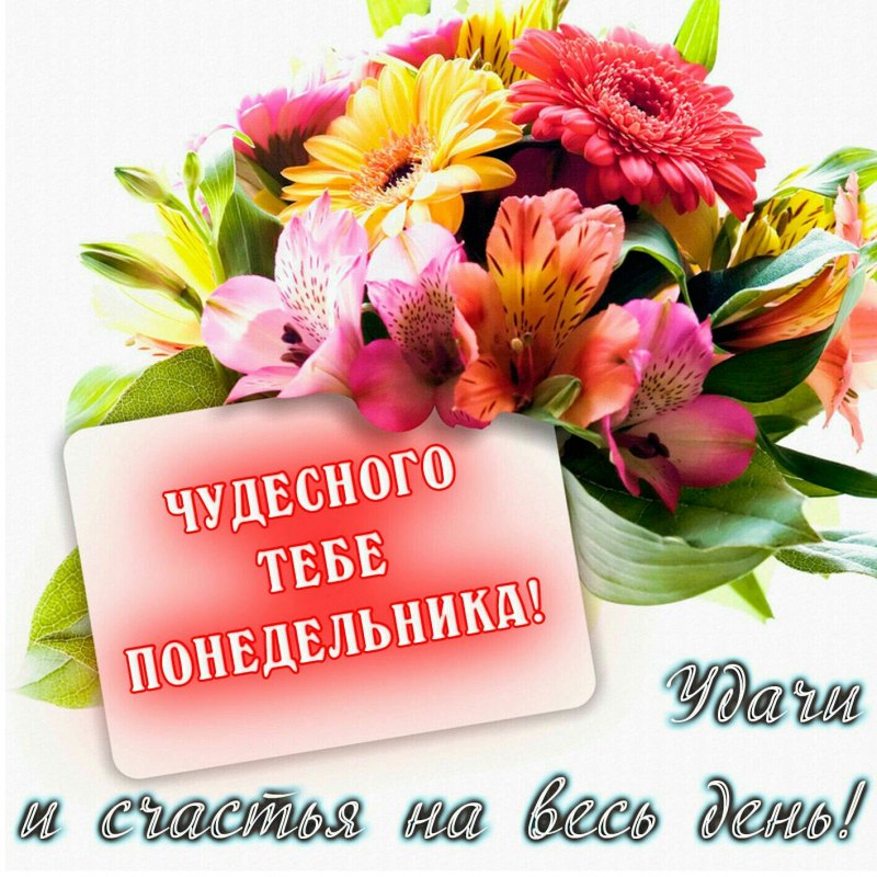 Легкого понедельника осень
