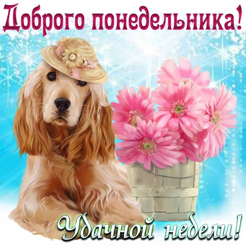 Доброго понедельника