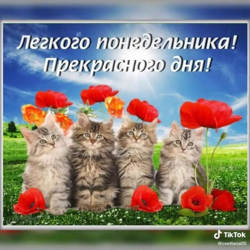 С понедельником хорошей недели пожелания