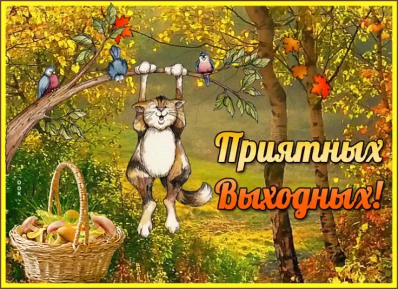 Отличной субботы нежные картинки