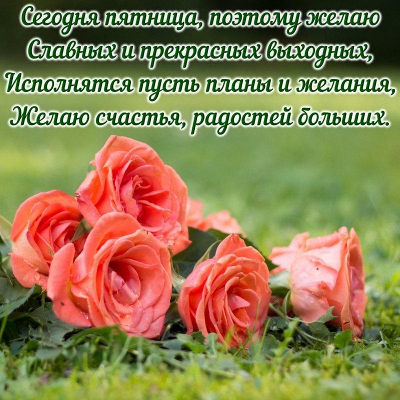 Пусть день принесет радость