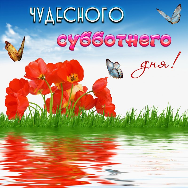 Доброе утро пятницы пожелания