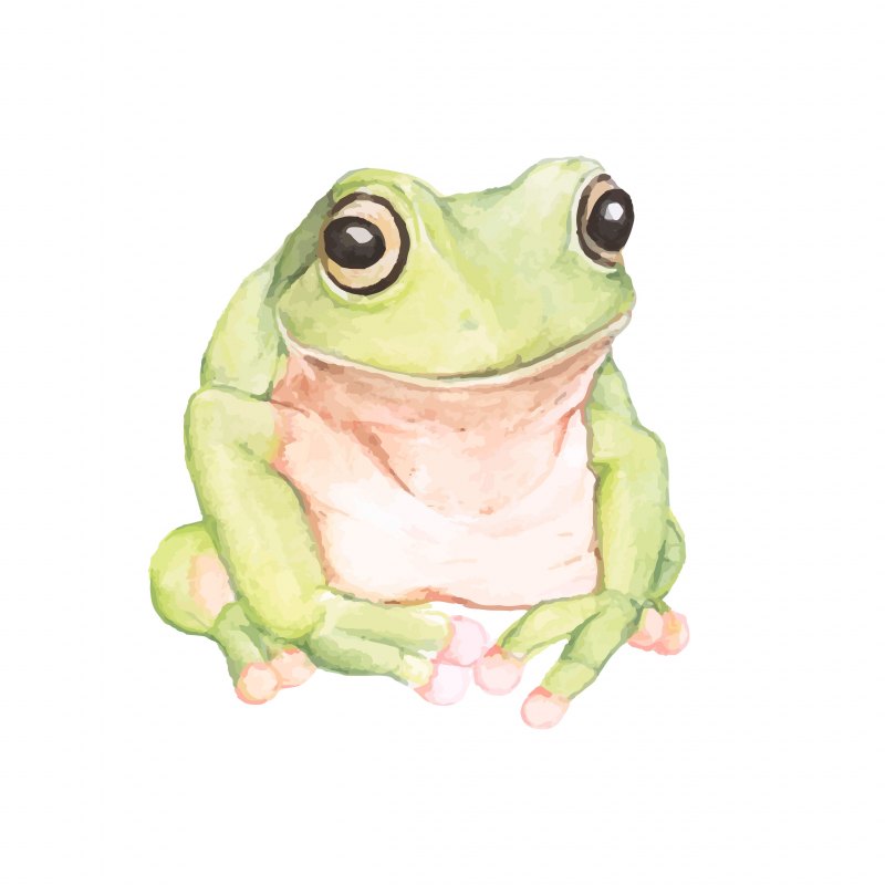 Милые рисуночки лягушек