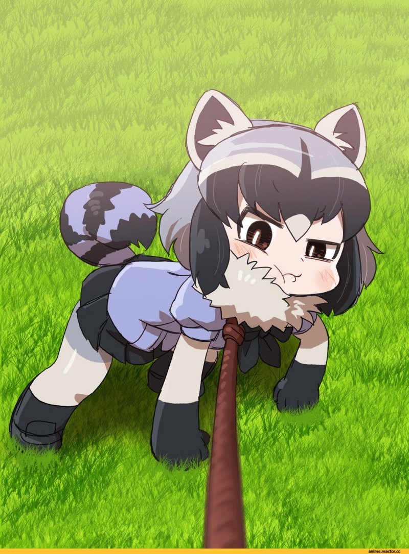 Енот убийца