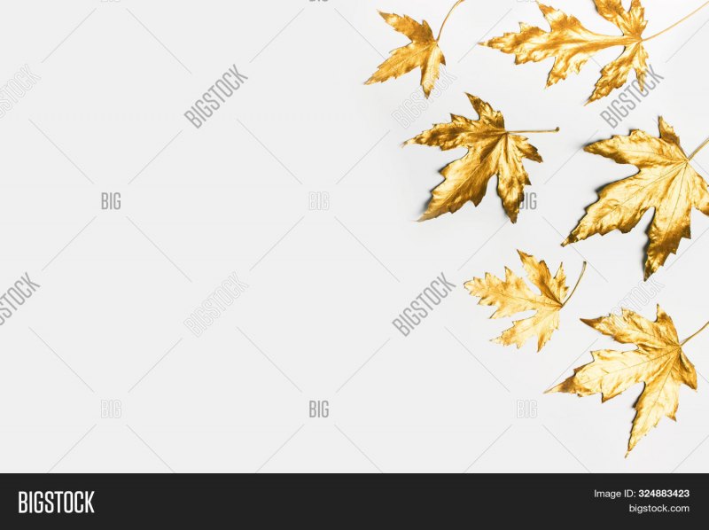 Прозрачные листья