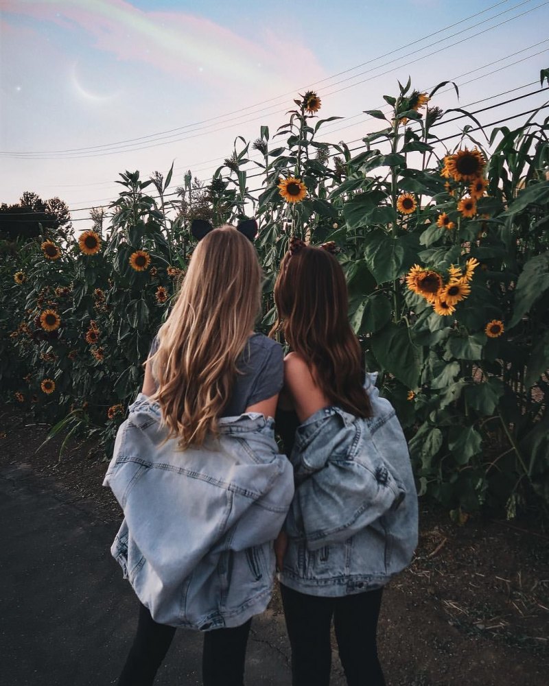 Две подруги Эстетика