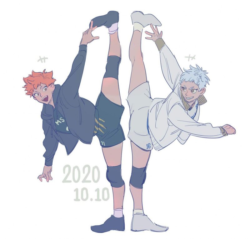 Хината шоё дакимакура