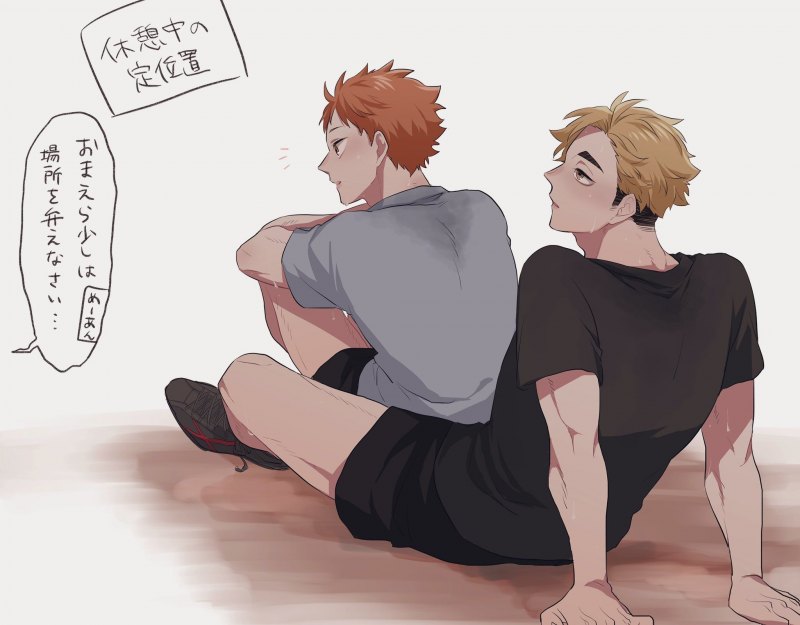 Хината Шое взрослый