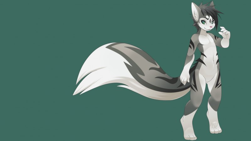 Фурри хвост