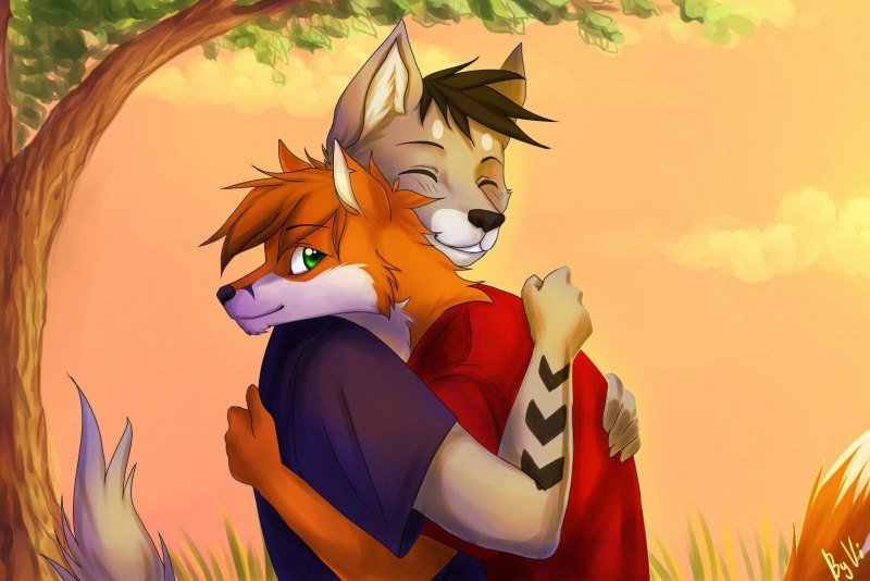 Фурри волки и лисы