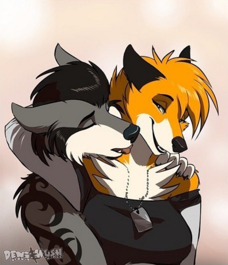 Фурри Лис и волк