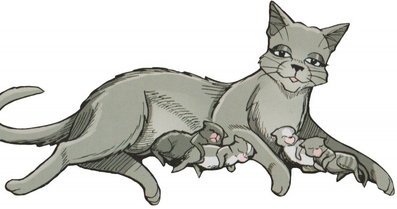 Коты Воители Мышеус
