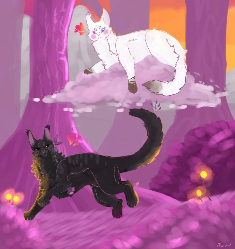 Warrior Cats Rus Amino Misha