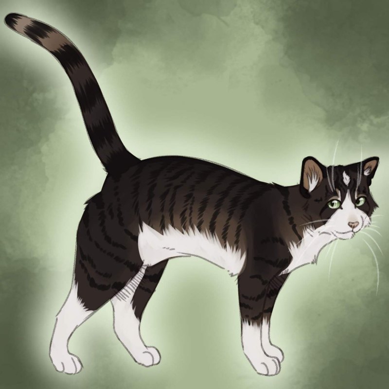 Коты Воители Ольхогрив