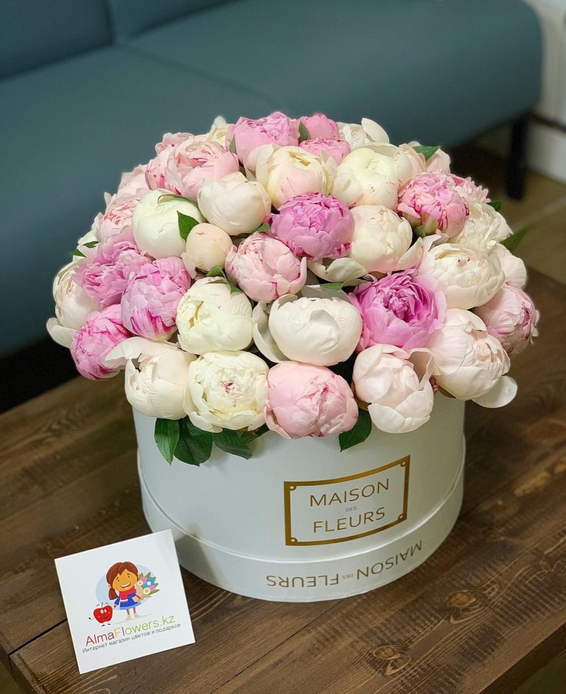 Пионы в коробках картинки