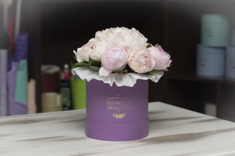 Пионы букет в коробке