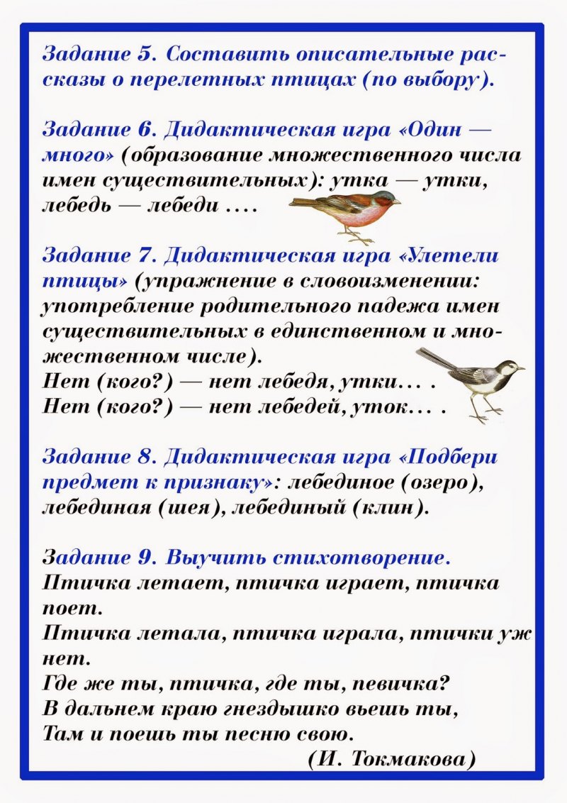 Составь описание известной тебе птицы по плану 2 класс русский язык рабочая тетрадь