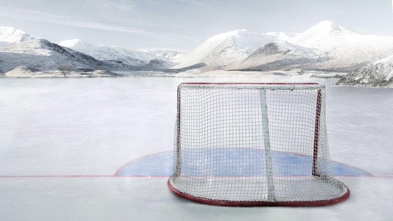 Хоккейные ворота NHL