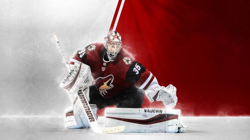NHL 09 клюшки вратарей