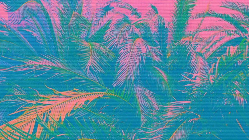 Vaporwave папоротники