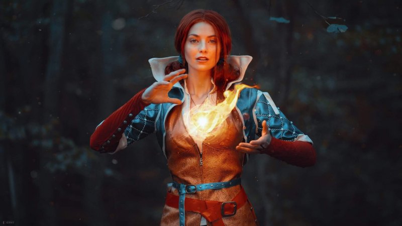 The Witcher