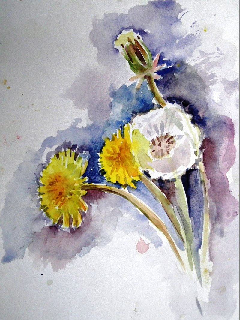 Пленэр акварелью цветы