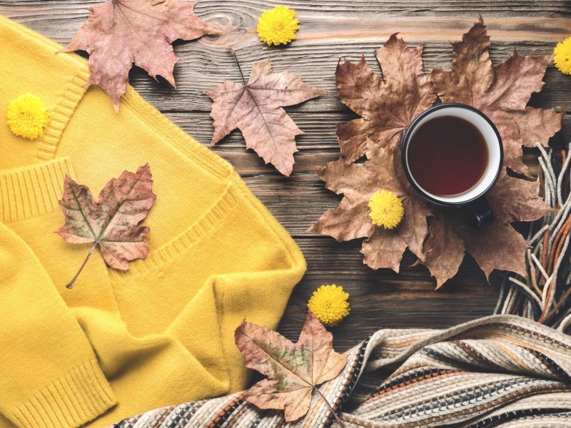 Осенний уют